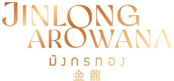 Jinlong Arowana